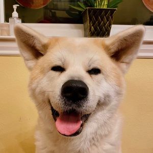 Meet your Posher, Jovial